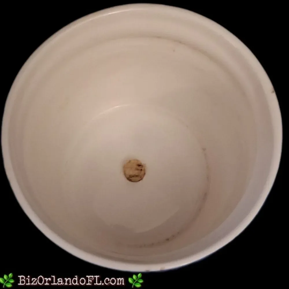Bath & Body Works vintage bath